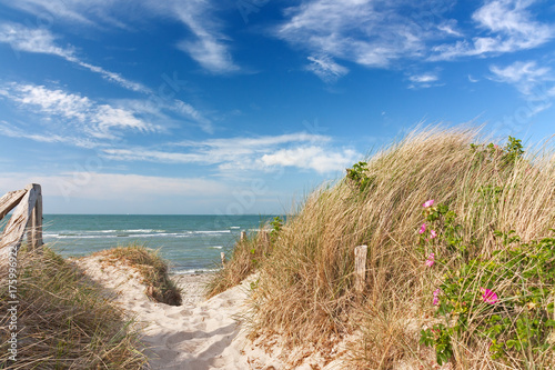 Weg durch D  nen zum Strand an der Ostsee mit blauem Himmel mit Wolken bei Heiligenhafen  Schleswig-Holstein