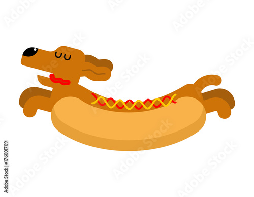 Hot dog dachshund. Pet Animal Hotdog. Vector illustration