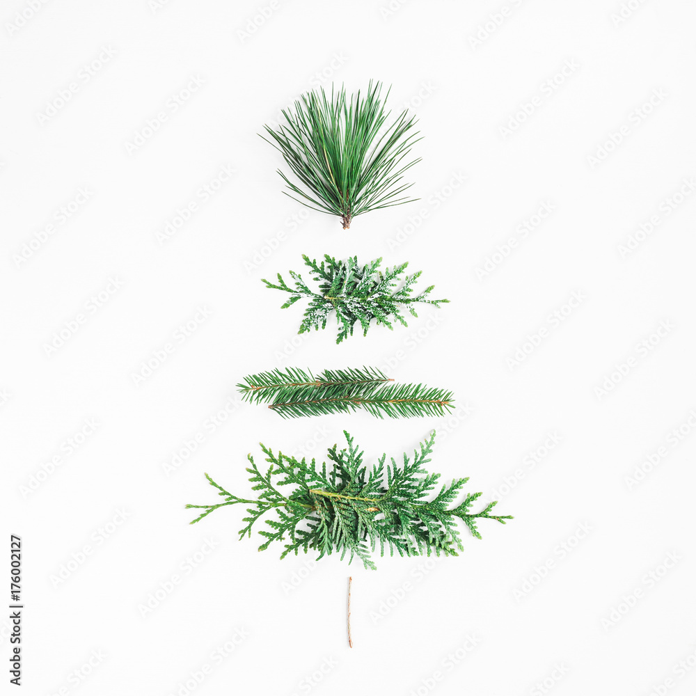 Christmas tree made of different winter plants. Christmas, winter, new year concept. Flat lay, top view, square Christmas tree made of different winter plants. Christmas, winter, new year concept. Flat lay, top view, square