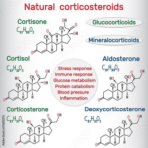 Chemical formulas of natural сorticosteroids: сortisol, сortisone, сorticosterone, аldosterone, deoxycorticosterone
