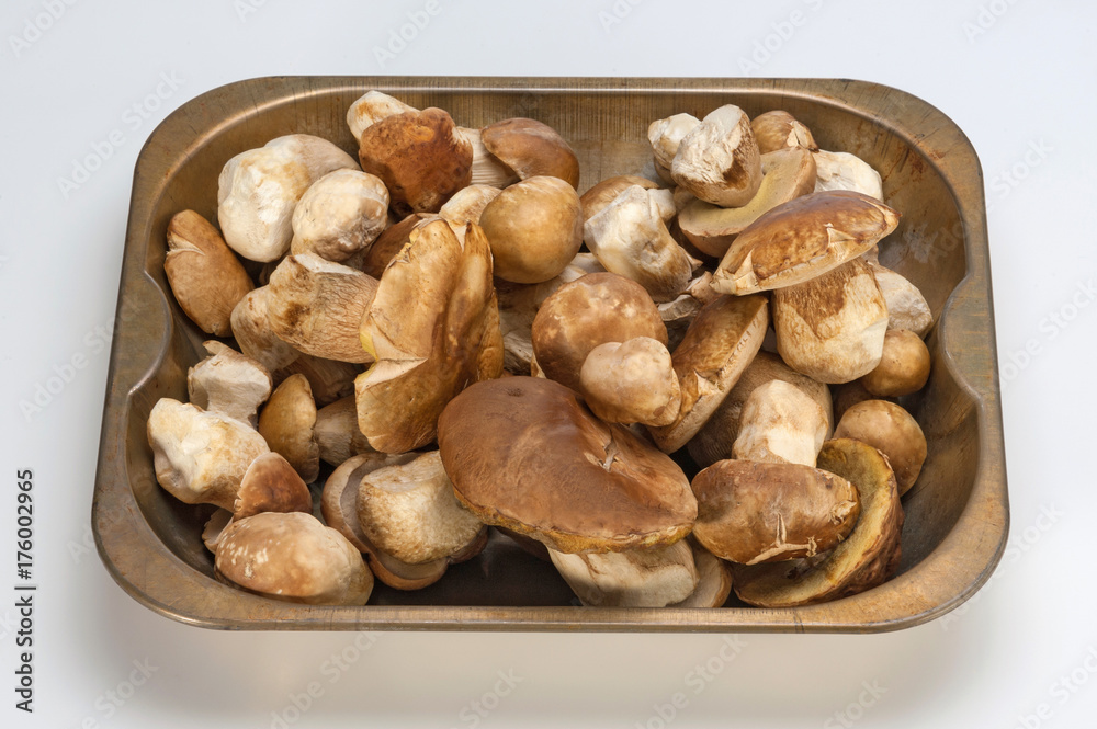 Boletus tray isolated on white background Boletus tray isolated on white background