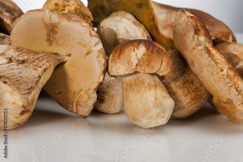 Group of Boletus Edulis mushroom close up.