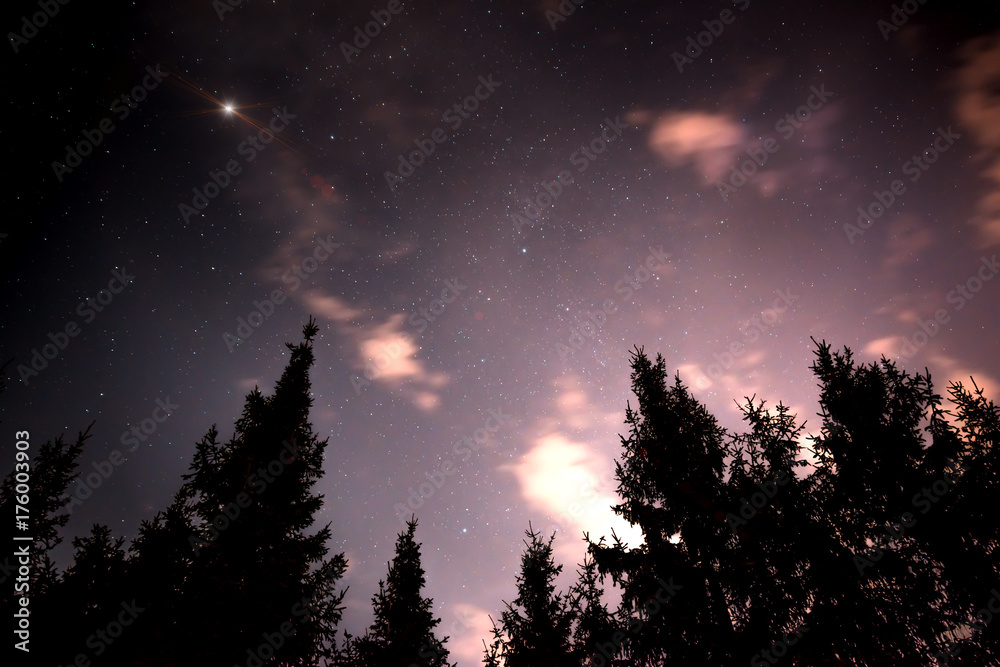 Night sky with stars fnd clouds in the forest