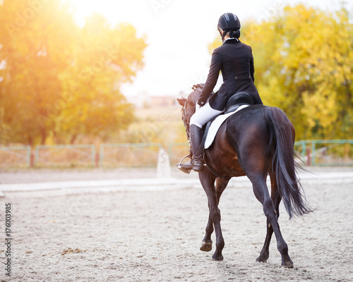 Young rider woman on bay horse performing advanced test on dressage competition. Rear view image of equestrian event background with copy space © skumer