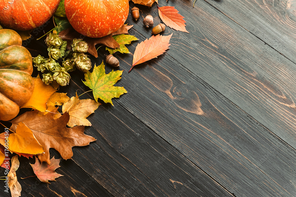 Obraz premium autumn background with pumpkins, autumn leaves, hops and oak acorns lying on a black wooden background