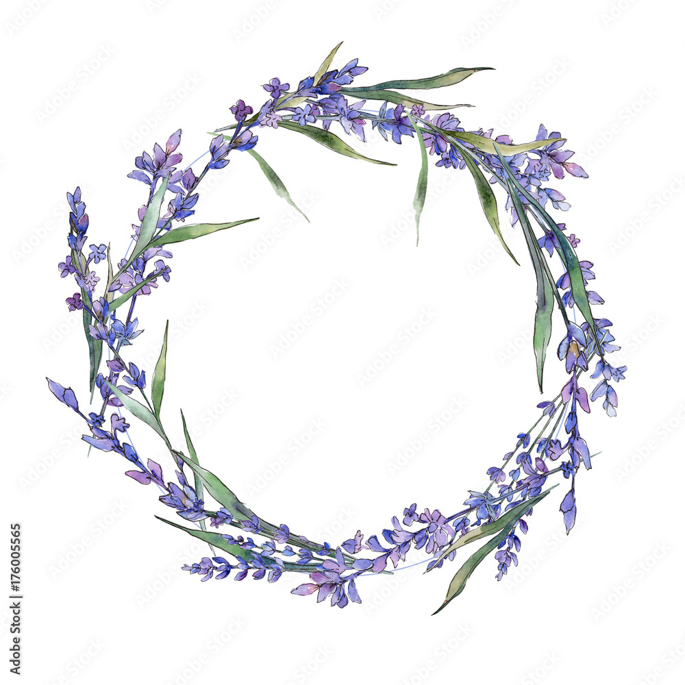 Wildflower lavander flower wreath in a watercolor style. Full name of the plant: lavander. Aquarelle wild flower for background, texture, wrapper pattern, frame or border. Wildflower lavander flower wreath in a watercolor style. Full name of the plant: lavander. Aquarelle wild flower for background, texture, wrapper pattern, frame or border.