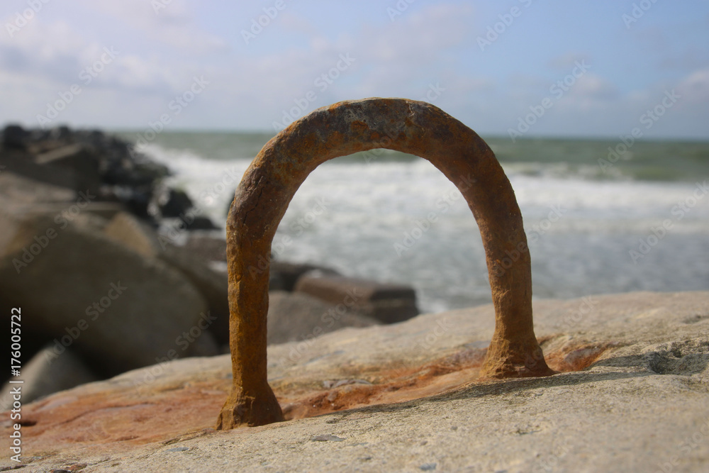 Fototapeta premium Metallöse