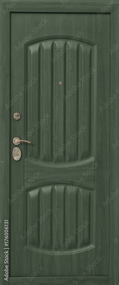Entrance door (metal door) Entrance door (metal door)