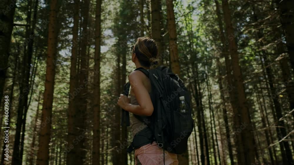 Beautiful woman hiker walking in a forest Beautiful woman hiker walking in a forest