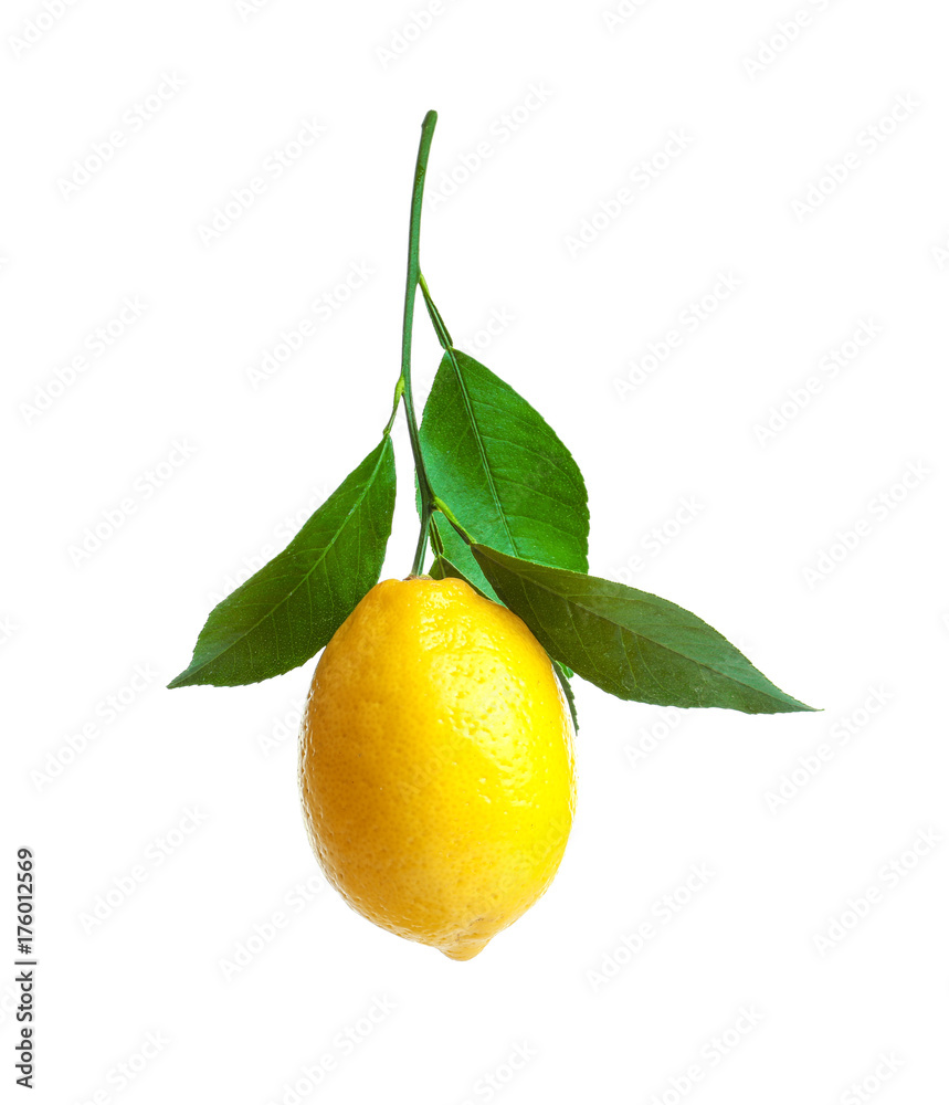 Ripe yellow lemon on white background