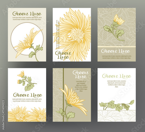 Set of six cards with traditional Japanese flowers.