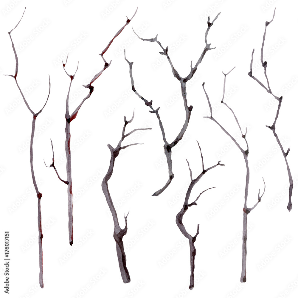 Fototapeta premium watercolor branches set.