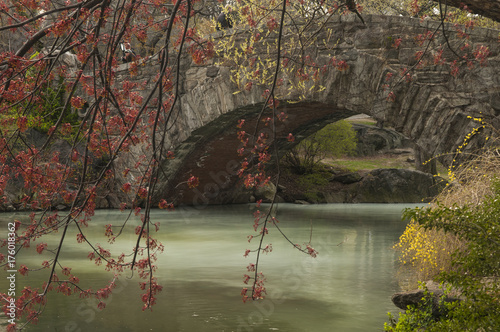 central park