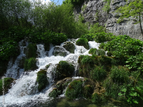 Small waterfall scattered among tufts of bush next to a cliff.