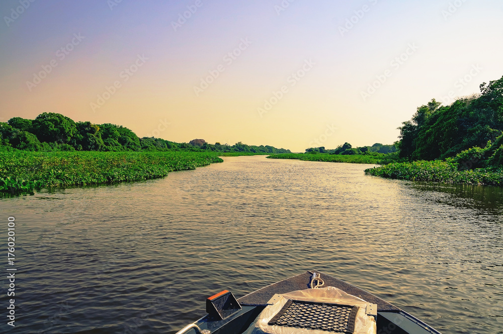 Φωτογραφία Boat navigating through flooded waters of Pantanal at sunset