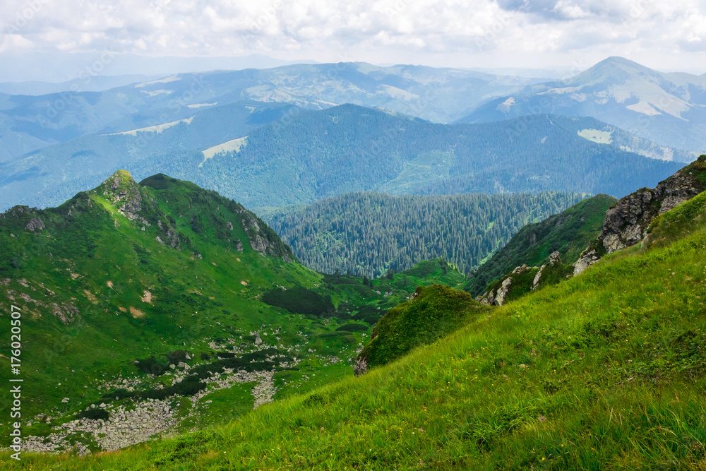 green mountains of Ukraine, Carpathians