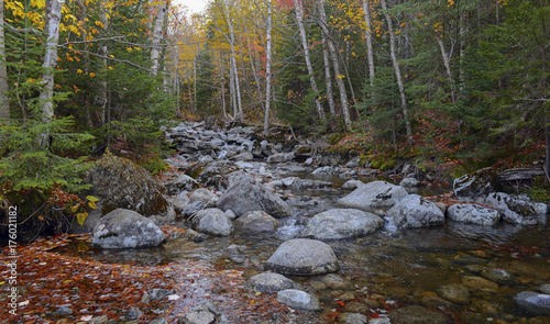 Autumn foliage with red, orange and yellow fall colors in a Northeast forest  photo