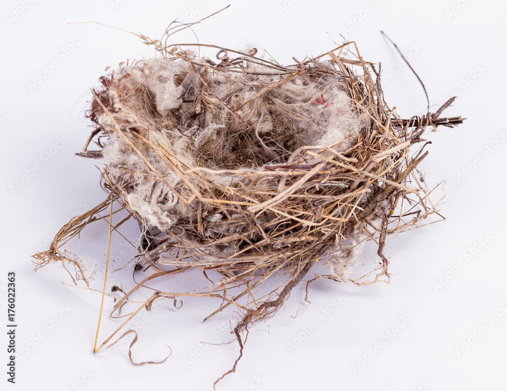 Obraz premium bird nest An empty isolated on white background