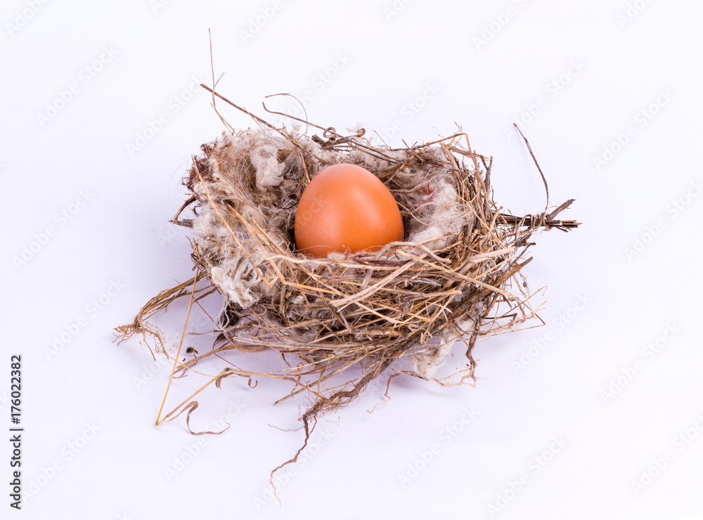 bird nest with egg isolated on white background bird nest with egg isolated on white background