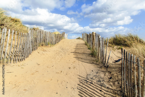 Path through the sand dunes to the beach with a blue sky and fluffy white cloud backroung
