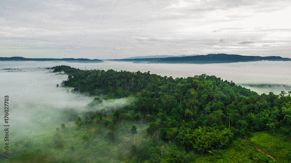Mountains with trees and fog in thailand Mountains with trees and fog in thailand