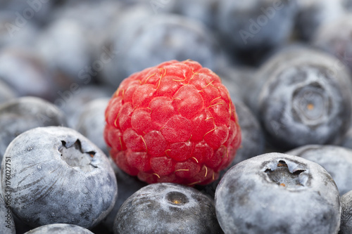 Red ripe raspberries