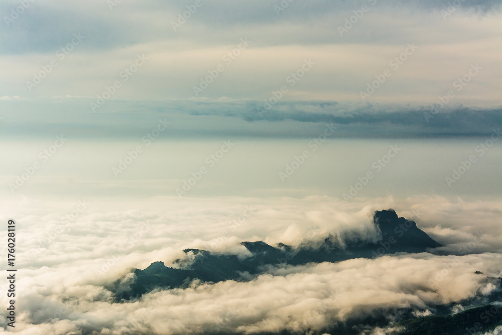 Obraz premium Morning Mist with Mountain ,sea of mis