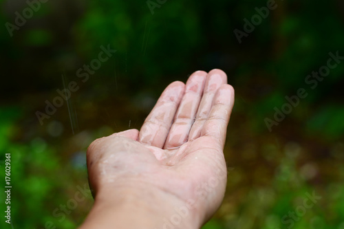 adult wet hand with rain water and green  plant background © Onnada