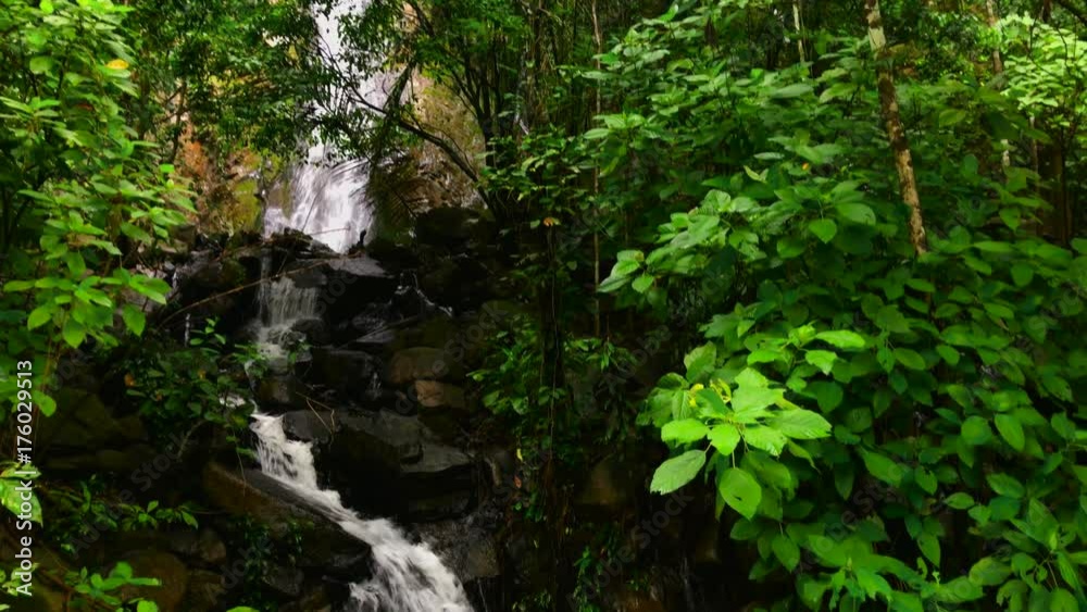 Waterfall in the middle of the mountain. Fresh water falling through rocks and vegetation.
Waterfall in the middle of the mountain. Fresh water falling through rocks and vegetation.