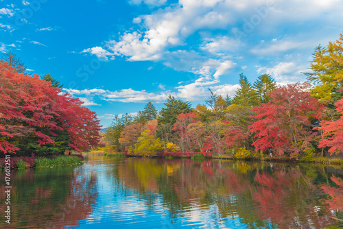 Delightful autumn colors of Kumoba pond in Karuizawa,Japan