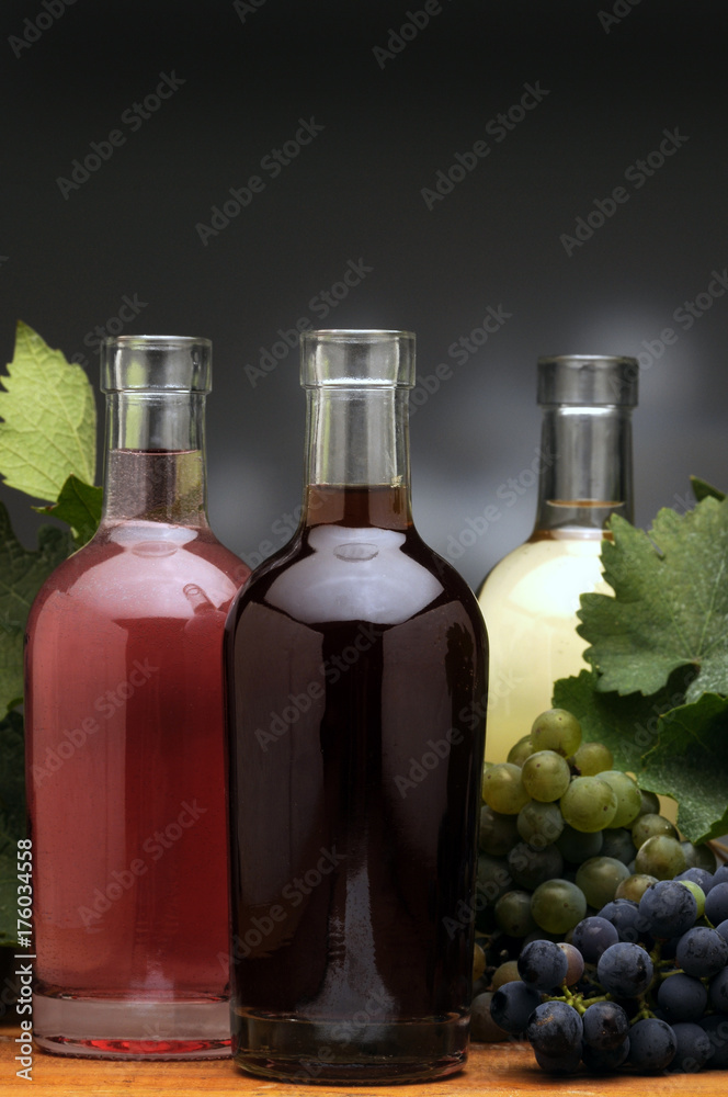 Fototapeta premium 176034558