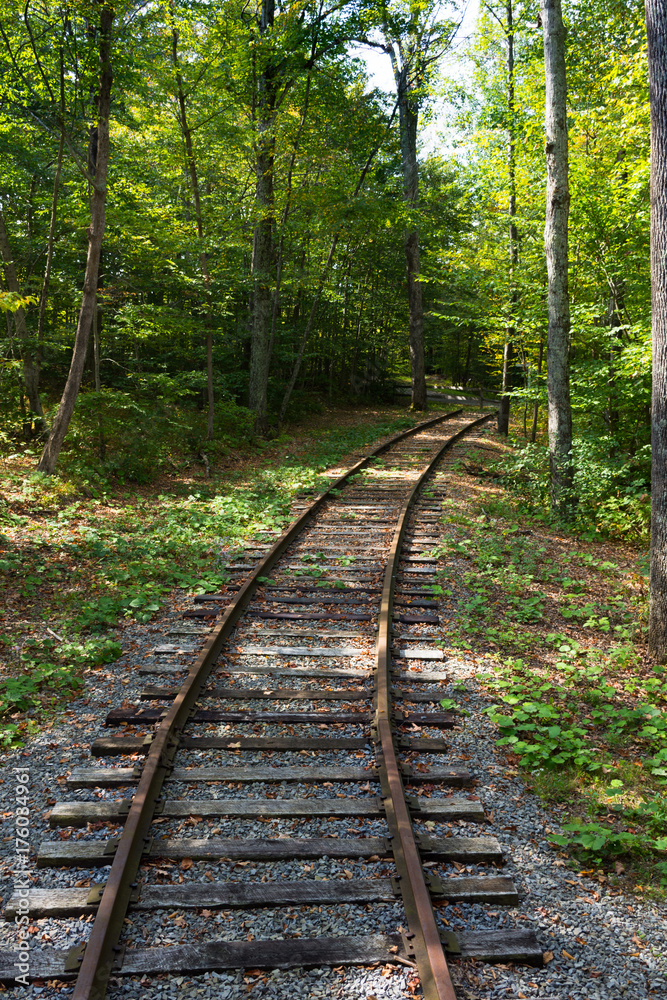 Railroad Track traversing through a deciduous forest with green leaves. The natural light is dappled. Railroad Track traversing through a deciduous forest with green leaves. The natural light is dappled.