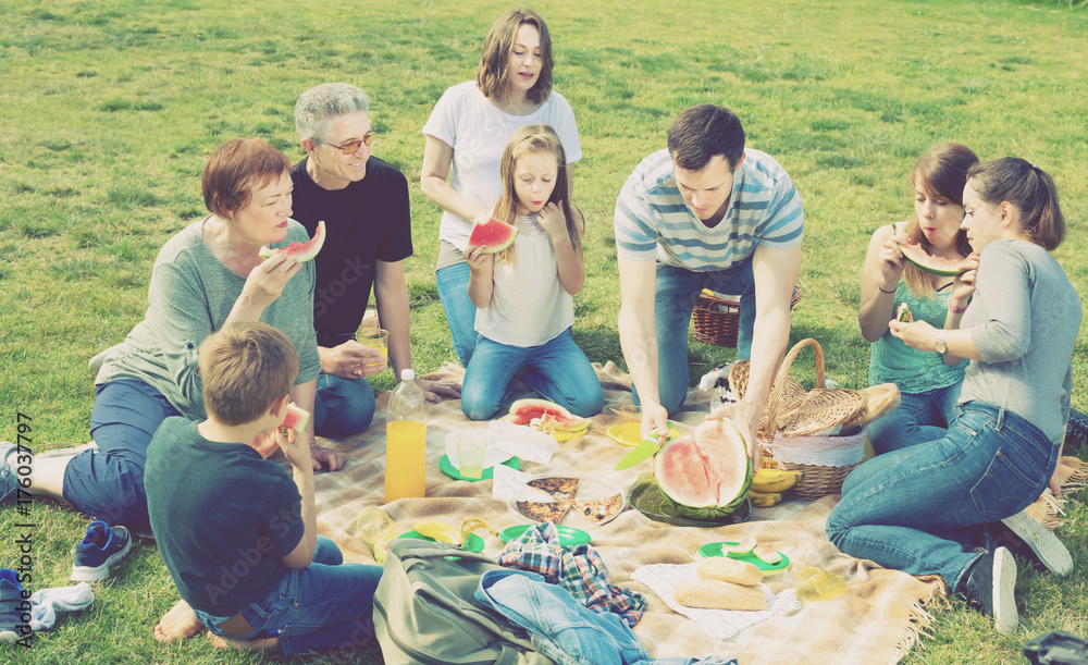 Fototapeta premium People of different ages sitting and talking on picnic