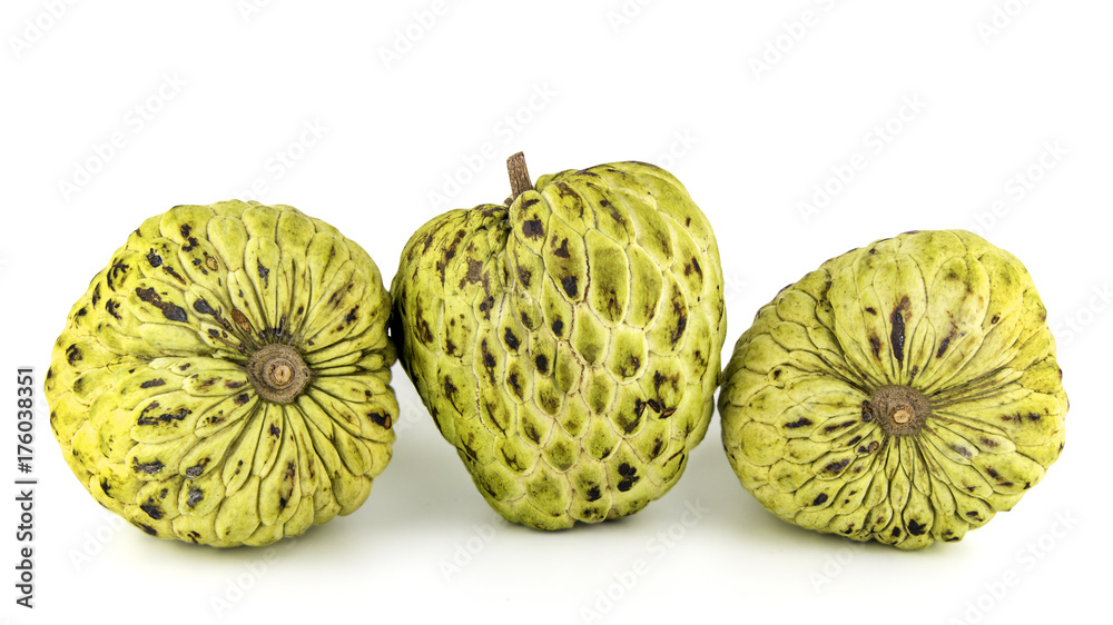 Fresh Custard Apple or Ripe Sugar Apple Fruit ( Annona, sweetsop) Isolated on white background on with clipping path / well-branched tree or shrub that bears edible fruits healthy eating / thai fruit Fresh Custard Apple or Ripe Sugar Apple Fruit ( Annona, sweetsop) Isolated on white background on with clipping path / well-branched tree or shrub that bears edible fruits healthy eating / thai fruit