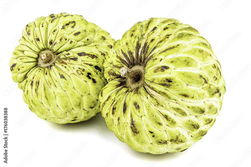 Fresh Custard Apple or Ripe Sugar Apple Fruit ( Annona, sweetsop) Isolated on white background on with clipping path / well-branched tree or shrub that bears edible fruits healthy eating / thai fruit Fresh Custard Apple or Ripe Sugar Apple Fruit ( Annona, sweetsop) Isolated on white background on with clipping path / well-branched tree or shrub that bears edible fruits healthy eating / thai fruit
