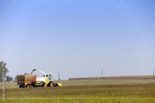 Harvesting the corn field