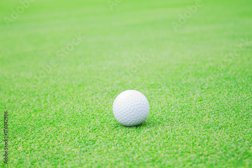 Golf ball on the lawn.
