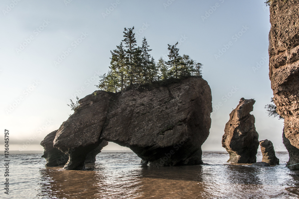 Sunrise famous Hopewell Rocks geologigal formations at low tide biggest ...