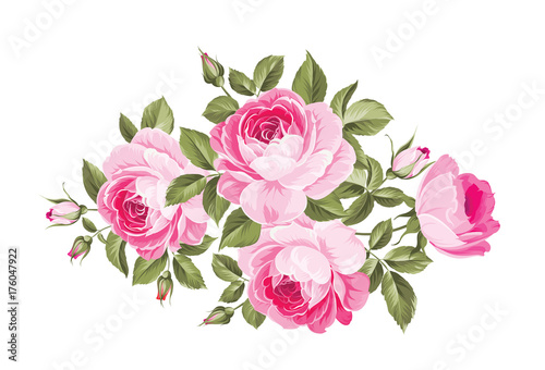 Bouquet of roses iolated on white background. Vector illustration.