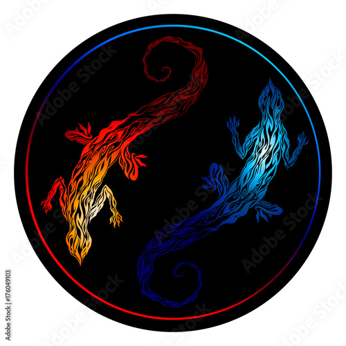 fire salamanders in the circle