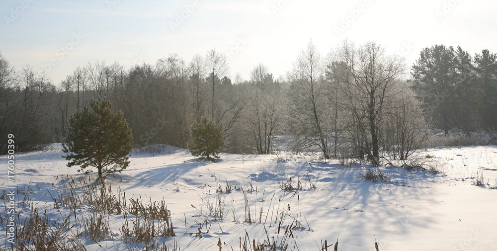 winter landscape winter landscape