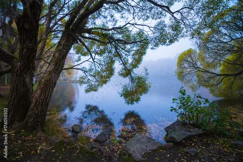 Fog over the lake © golfstrim