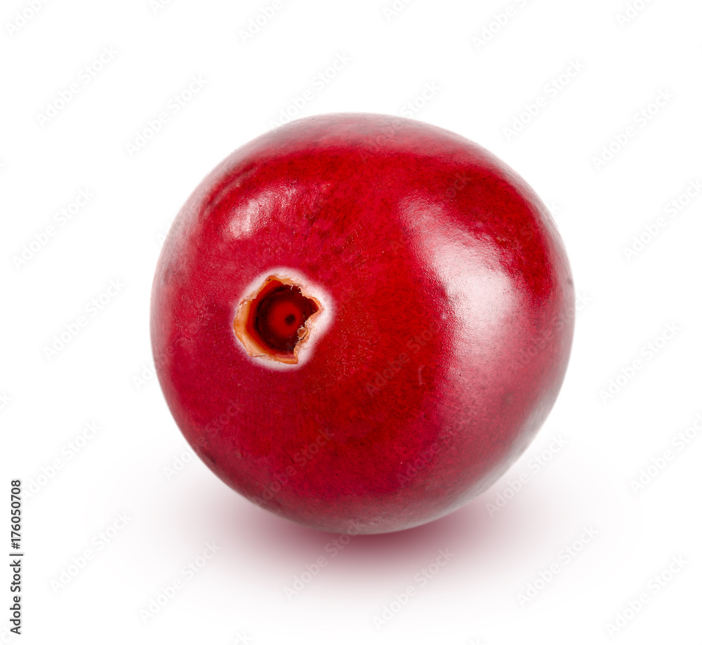 Cranberry isolated on white background closeup macro Cranberry isolated on white background closeup macro