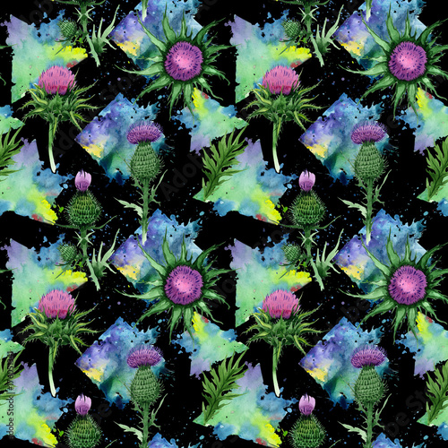 Wildflower budyak flower pattern in a watercolor style. Full name of the plant: budyak. Aquarelle wild flower for background, texture, wrapper pattern, frame or border. photo