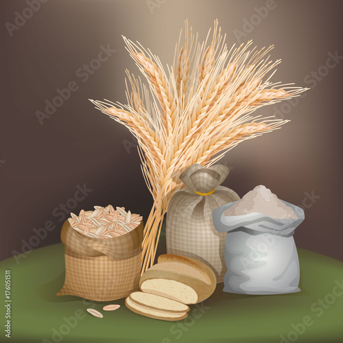 Illustration with rye foodstuff / There are sacks with rye grains, flour, one bread, and rye ears
