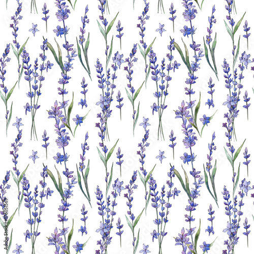 Wildflower lavander flower pattern  in a watercolor style. Full name of the plant: lavander. Aquarelle wild flower for background, texture, wrapper pattern, frame or border. © yanushkov
