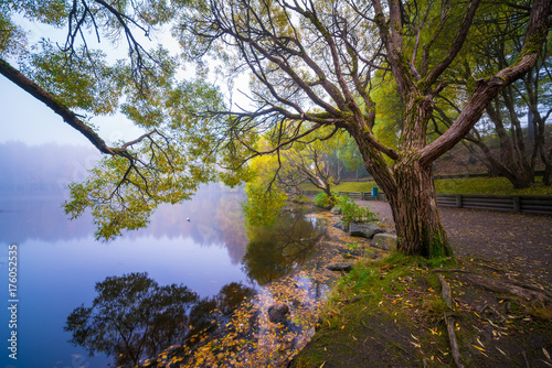 Autumn fog