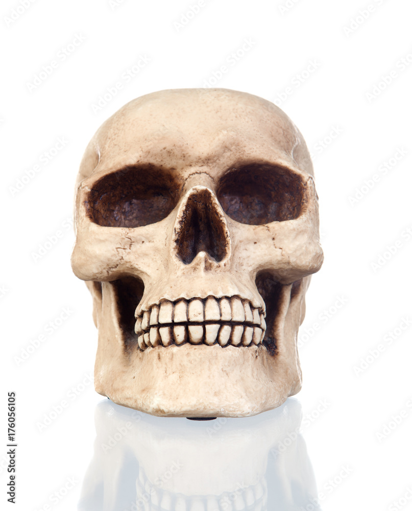 Obraz premium Creepy skull with reflection