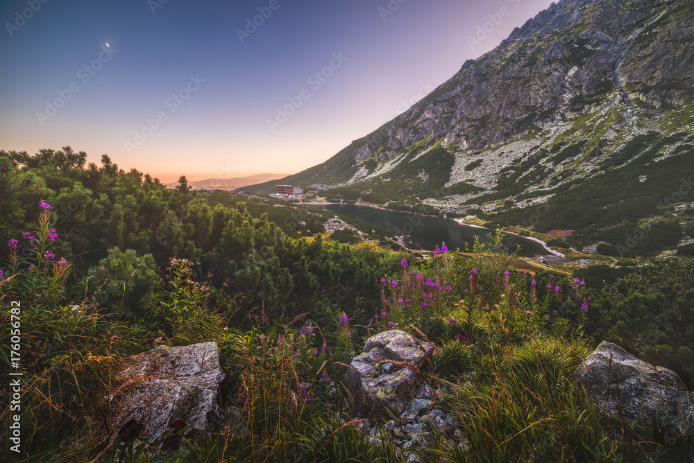 Obraz premium Mountain Lake at Sunset with Flowers and Rocks in Foreground. Velicke Tarn, High Tatras, Slovakia.