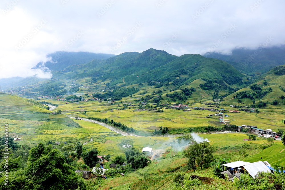 Rice fields on terraced of Vietnam Rice fields on terraced of Vietnam